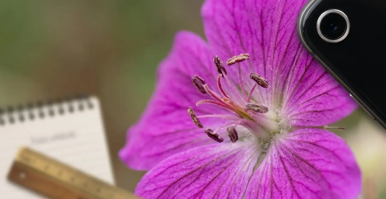 Close-up van handen die een plant fotograferen met smartphone terwijl een expert meekijkt